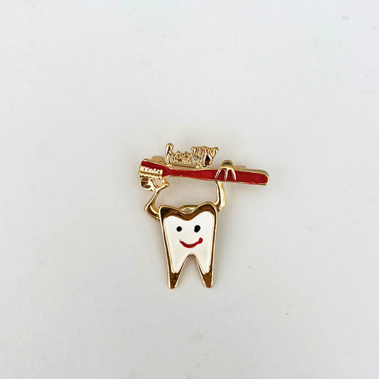 Fırçadan Sarkan Dişçi Broş